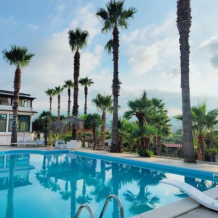 Palm House Bed and Breakfast Lamezia Terme Buitenkant foto